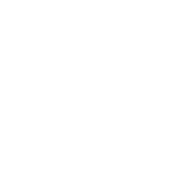 Road Roller Icon